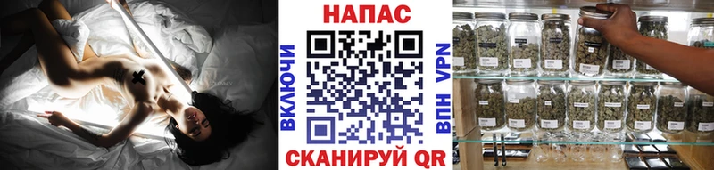 Канабис MAZAR  Светлоград 